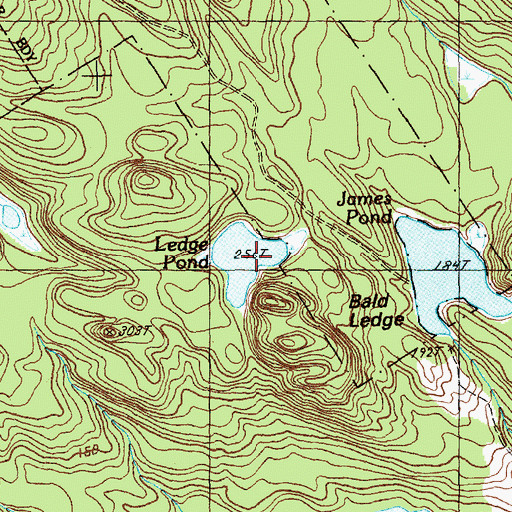 Topographic Map of Ledge Pond, ME