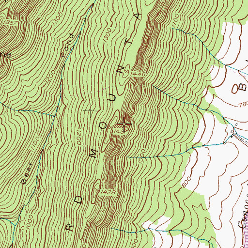 Topographic Map of Bear Pond Mountains, MD