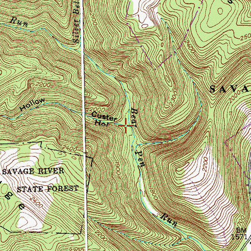 Topographic Map of Custer Hollow, MD