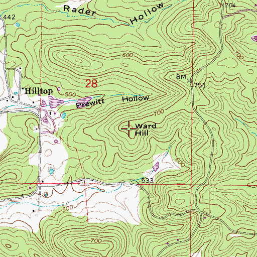 Topographic Map of Ward Hill, AR