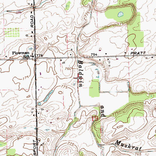 Topographic Map of Baldwin and Muskrat Drain, MI