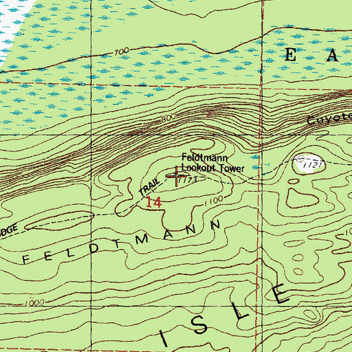 Topographic Map of Feldtmann Ridge, MI