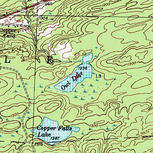 Topographic Map of Owl Lake, MI