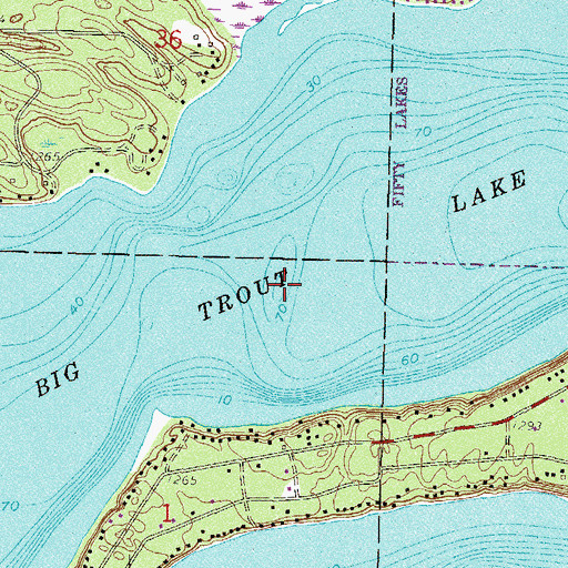 Topographic Map of Big Trout Lake, MN