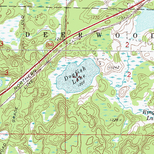 Topographic Map of Dogfish Lake, MN