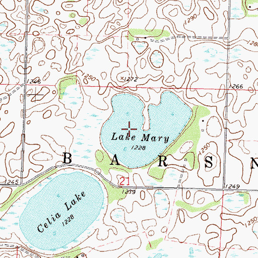 Topographic Map of Lake Mary, MN