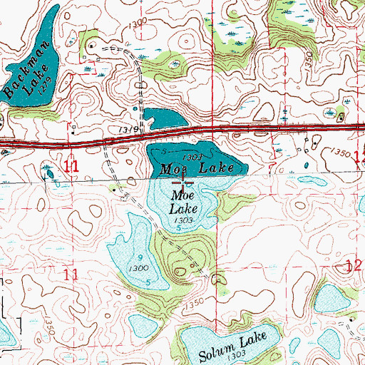 Topographic Map of Moe Lake, MN