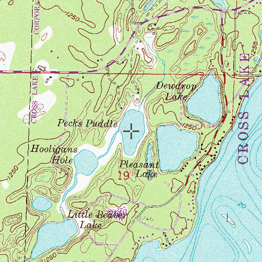 Topographic Map of Pecks Puddle, MN