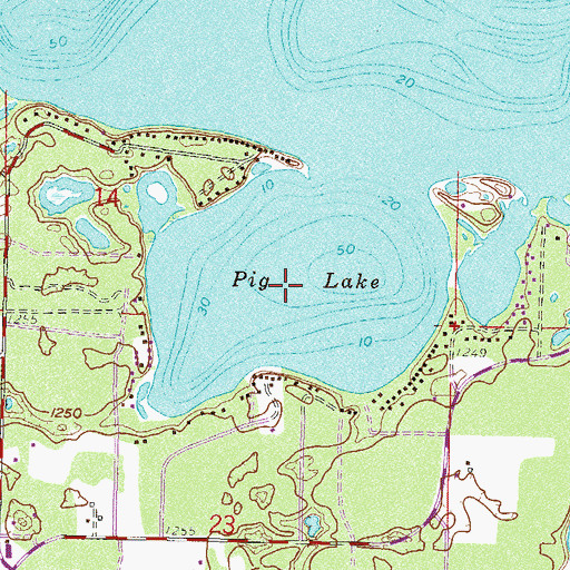 Topographic Map of Pig Lake, MN
