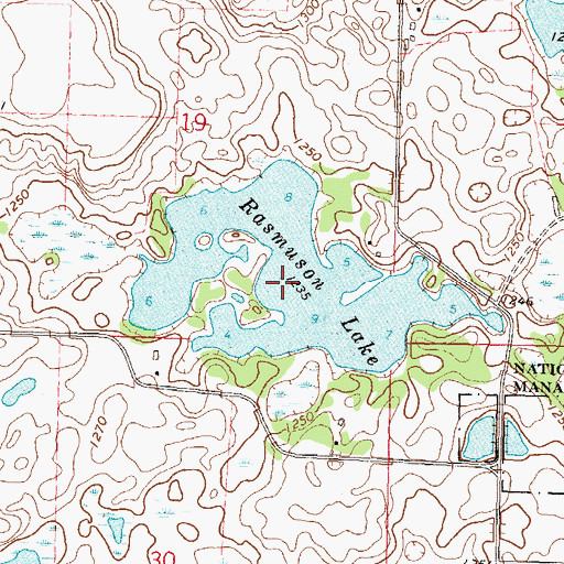Topographic Map of Rasmuson Lake, MN