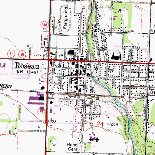 Topographic Map of Roseau, MN