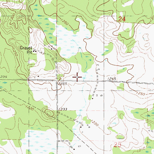 Topographic Map of School Number 119, MN