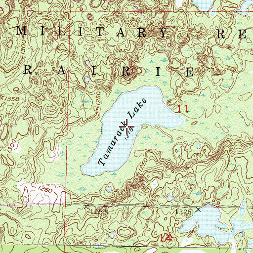Topographic Map of Tamarack Lake, MN