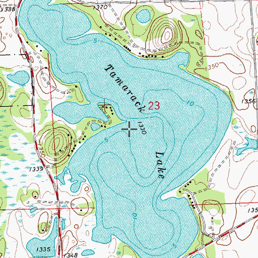Topographic Map of Tamarack Lake, MN