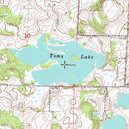 Topographic Map of Toms Lake, MN