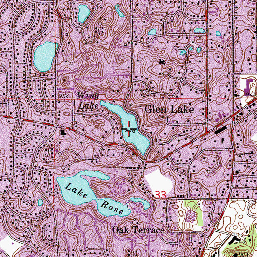 Topographic Map of Wing Lake, MN