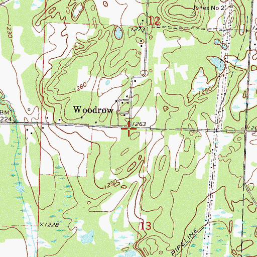 Topographic Map of Woodrow, MN