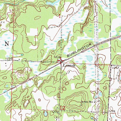 Topographic Map of Loerch, MN