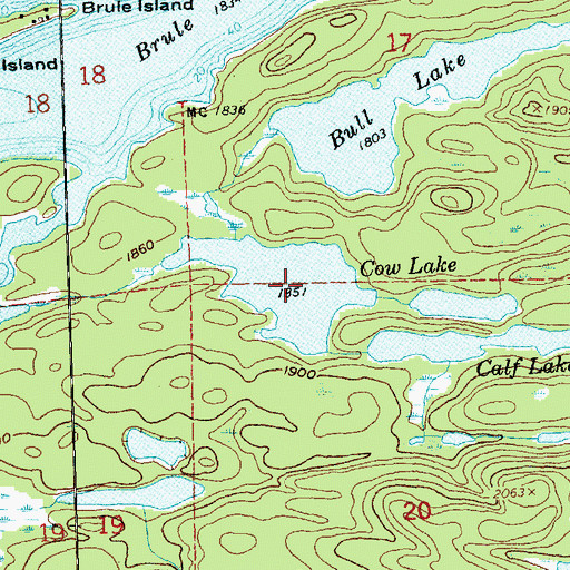 Topographic Map of Cow Lake, MN