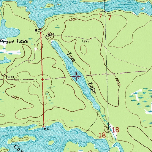 Topographic Map of Lizz Lake, MN