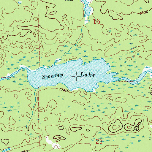 Topographic Map of Swamp Lake, MN