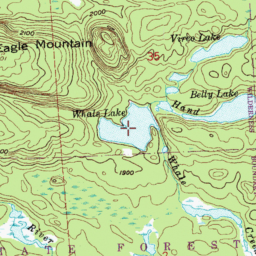 Topographic Map of Whale Lake, MN