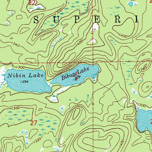 Topographic Map of Bibon Lake, MN