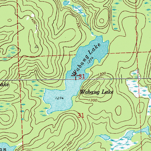 Topographic Map of Wabang Lake, MN