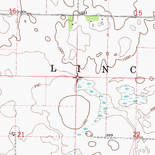 Topographic Map of Township of Lincoln, MN