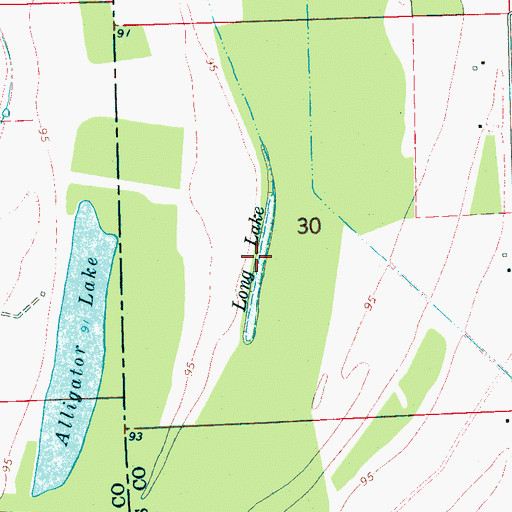 Topographic Map of Long Lake, MS