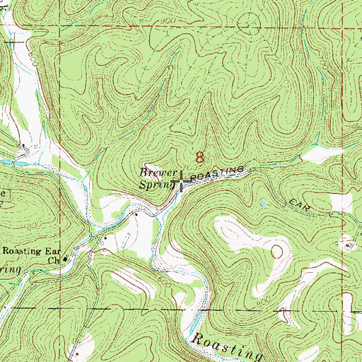 Topographic Map of Brewer Spring, AR