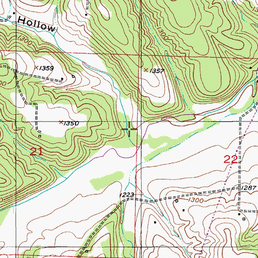 Topographic Map of Buck Hollow, MO