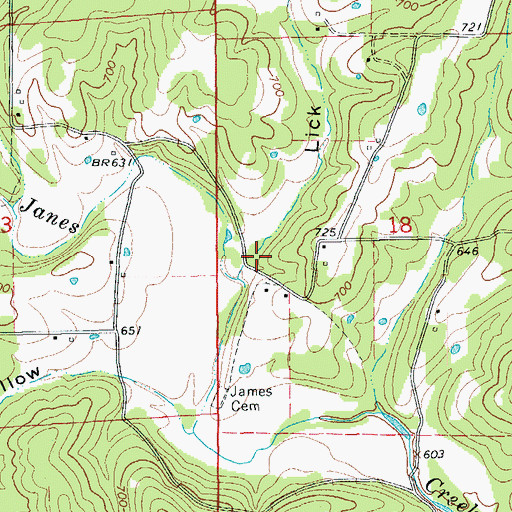 Topographic Map of Lick Hollow, AR