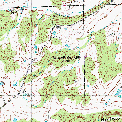 Topographic Map of Mitchell-Reynolds Cemetery, MO