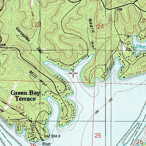 Topographic Map of Negro Hollow, MO