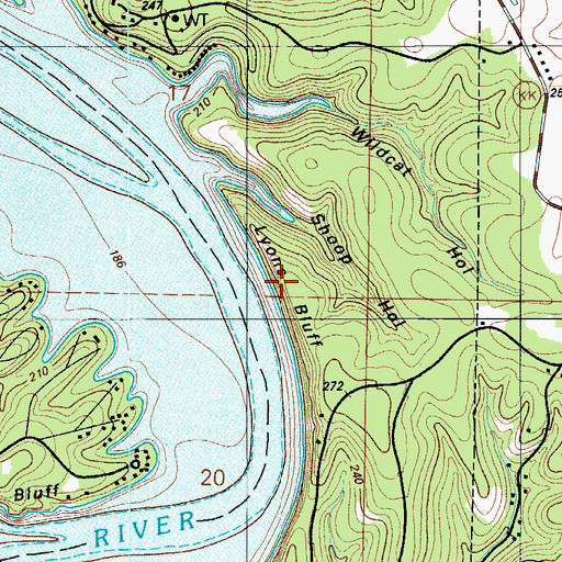 Topographic Map of Lyons Bluff, MO