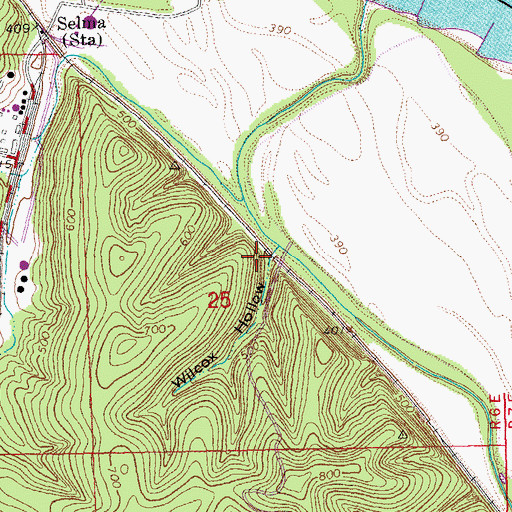 Topographic Map of Wilcox Hollow, MO