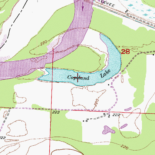 Topographic Map of Copeland Lake, AR