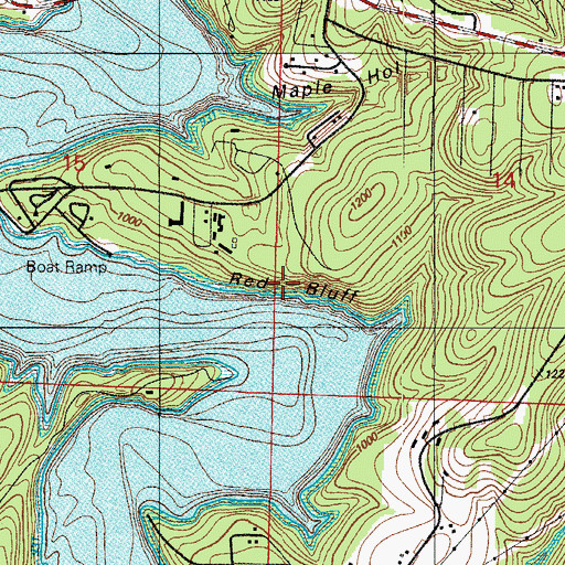 Topographic Map of Red Bluff, MO