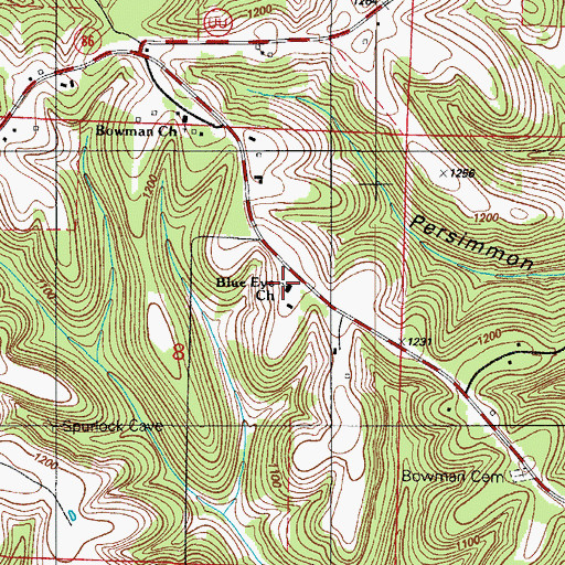 Topographic Map of Blue Eye Church, MO