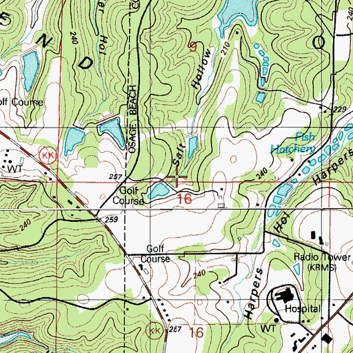 Topographic Map of Dogwood Hills Dam, MO