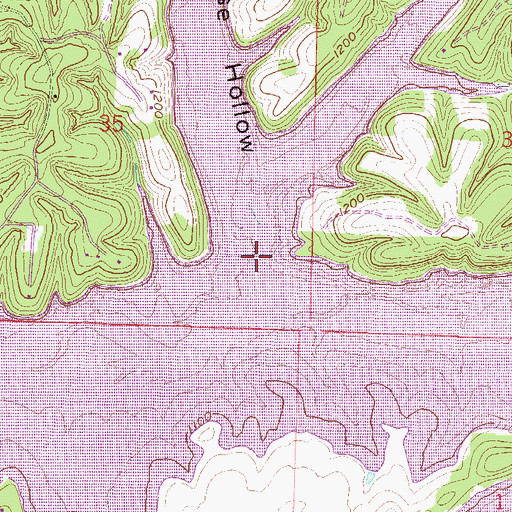 Topographic Map of Coose Hollow, AR