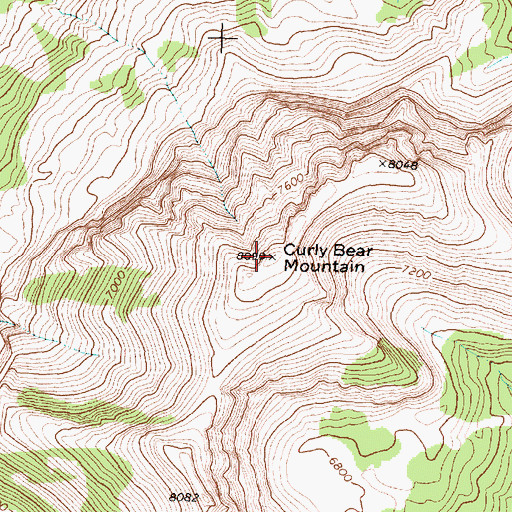 Topographic Map of Curly Bear Mountain, MT