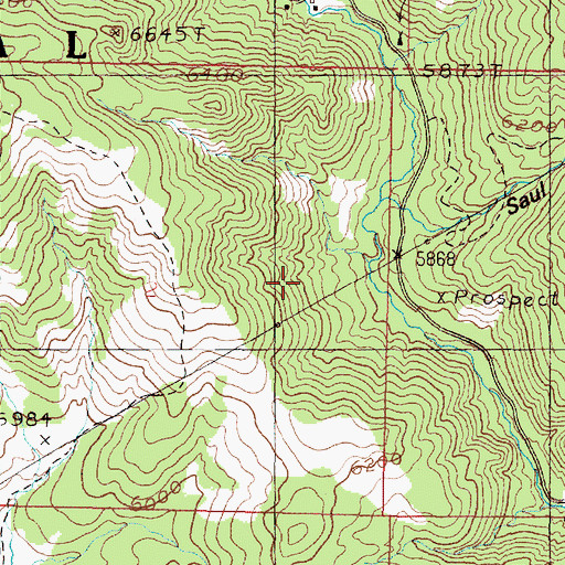 Topographic Map of Aurora Mine, MT