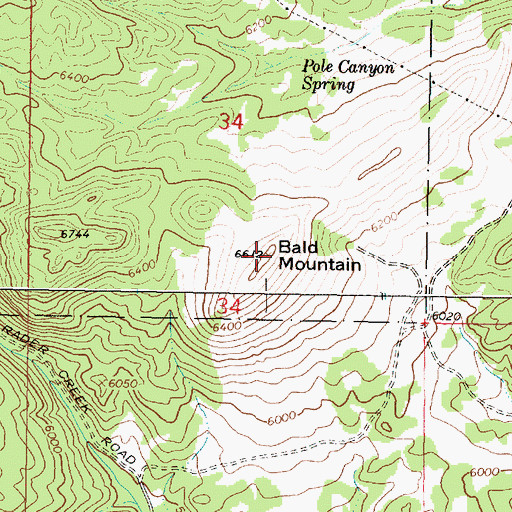 Topographic Map of Bald Mountain, MT