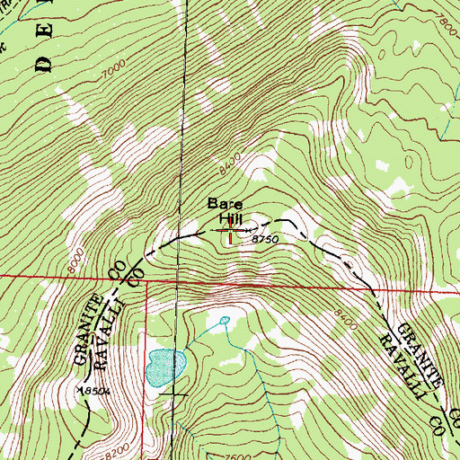 Topographic Map of Bare Hill, MT