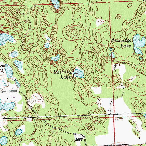 Topographic Map of Basham Lake, MT