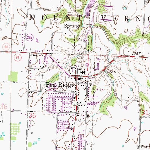 Topographic Map of Pea Ridge, AR