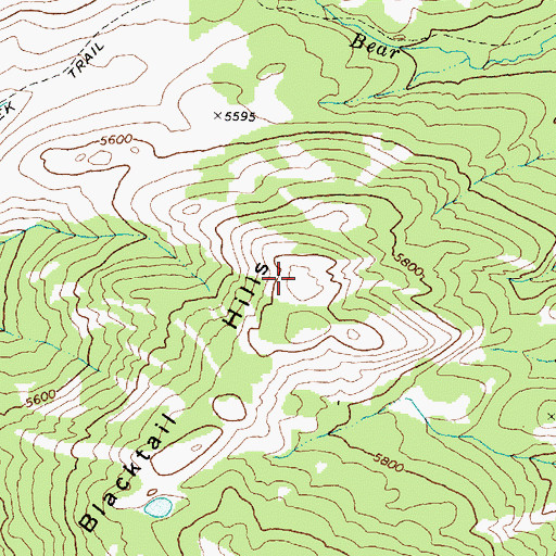 Topographic Map of Blacktail Hills, MT