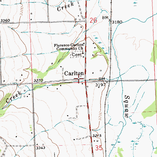 Topographic Map of Carlton, MT